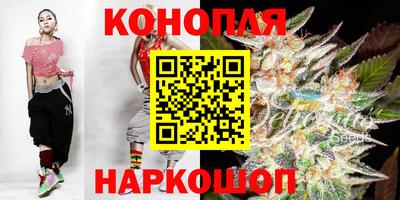 сатива Гусиноозёрск