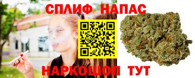 мет Дубна